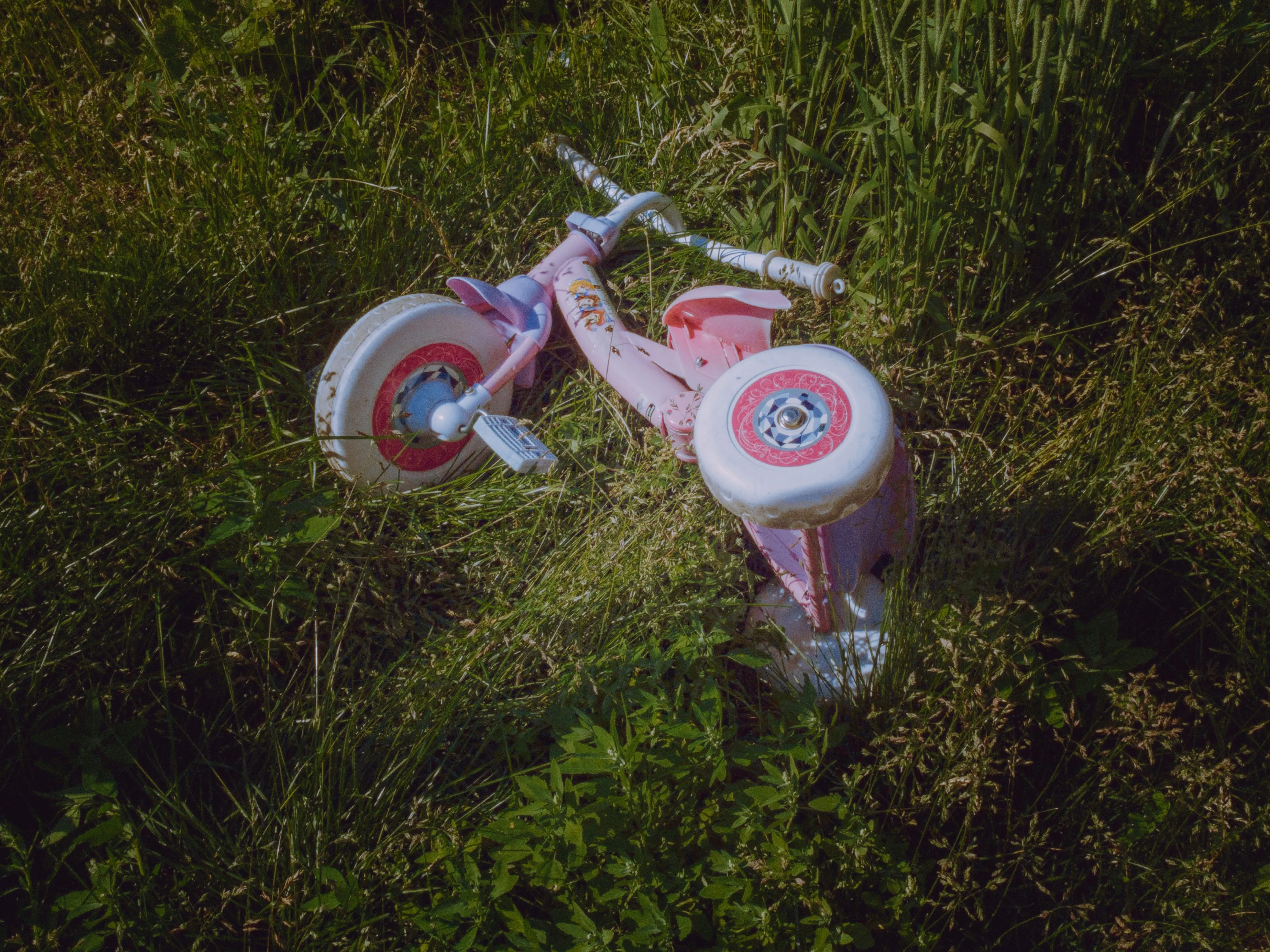Un petit tricycle d'enfant rose renversé dans les herbes hautes 